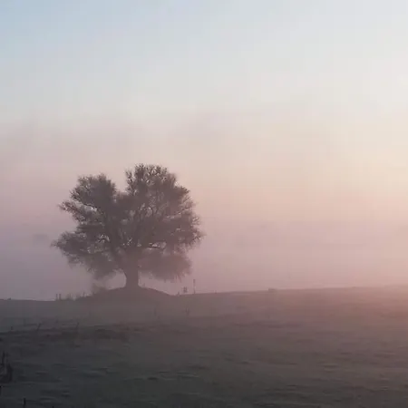 The Ferryman's Vrijgelegen Aan De Waal